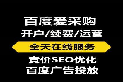 知名SEM运营公司实战案例解析